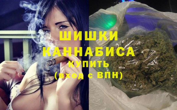 бошки Алексин