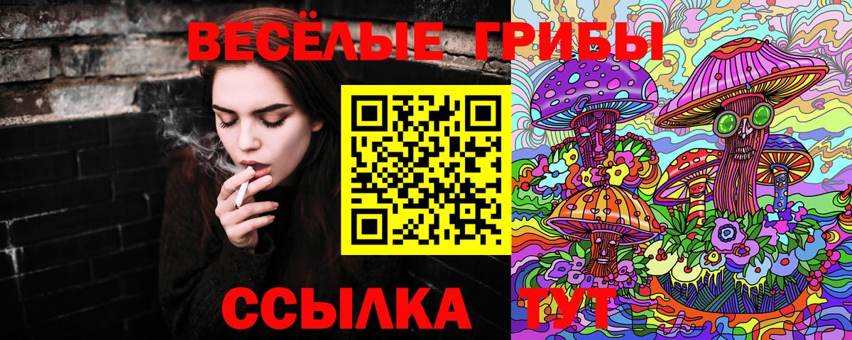 Галлюциногенные грибы Magic Shrooms  Галлюциногенные грибы Cubensis  Вход с VPN  Сургут 